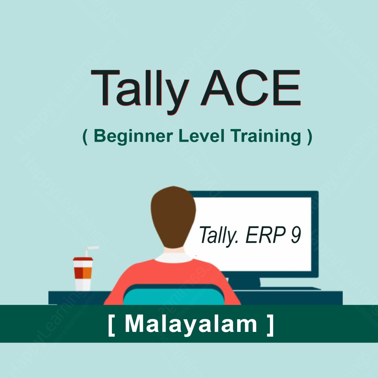 Tally ACE Training